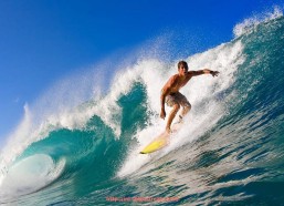 咪咕体育直播-法甲2024-2025赛季收官总结：最终排名与焦点数据公布