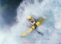 咪咕体育直播-布兰登·英格拉姆在鹈鹕队的成长过程如何展现巨星潜力